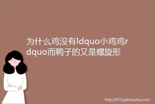 为什么鸡没有ldquo小鸡鸡rdquo而鸭子的又是螺旋形