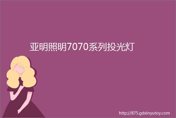 亚明照明7070系列投光灯